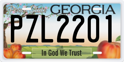 GA license plate PZL2201