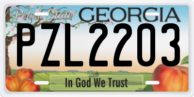 GA license plate PZL2203