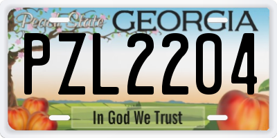 GA license plate PZL2204