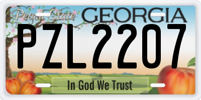 GA license plate PZL2207