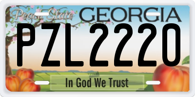 GA license plate PZL2220