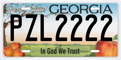 GA license plate PZL2222