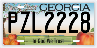 GA license plate PZL2228