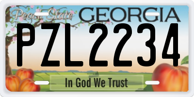 GA license plate PZL2234