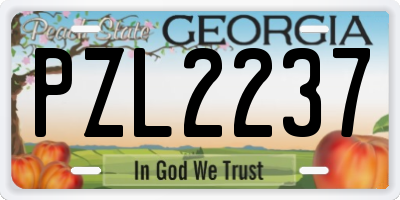 GA license plate PZL2237