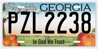 GA license plate PZL2238