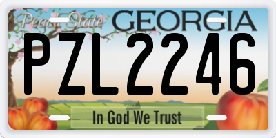 GA license plate PZL2246