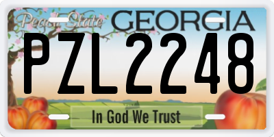 GA license plate PZL2248