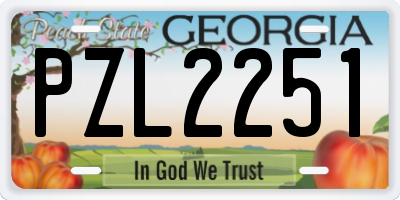 GA license plate PZL2251