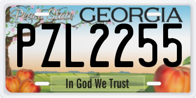 GA license plate PZL2255