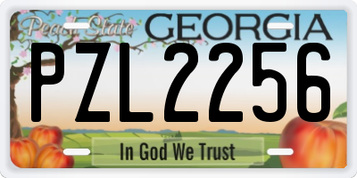 GA license plate PZL2256