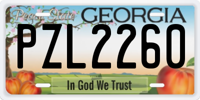 GA license plate PZL2260