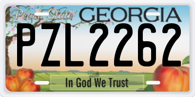 GA license plate PZL2262