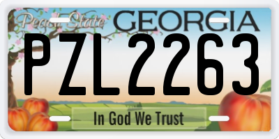 GA license plate PZL2263