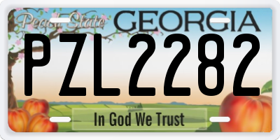 GA license plate PZL2282