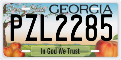 GA license plate PZL2285