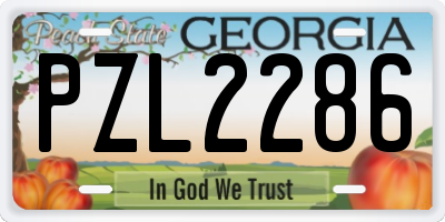 GA license plate PZL2286