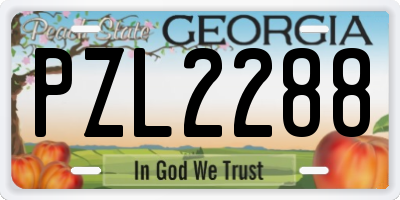 GA license plate PZL2288