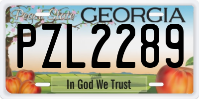 GA license plate PZL2289