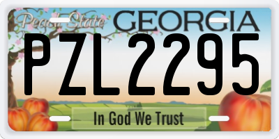 GA license plate PZL2295