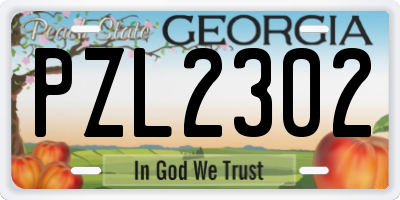GA license plate PZL2302