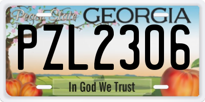 GA license plate PZL2306