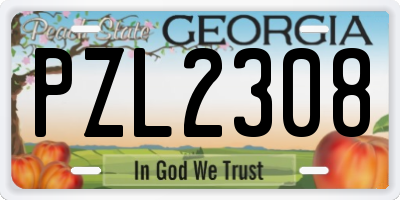 GA license plate PZL2308