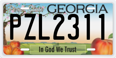 GA license plate PZL2311
