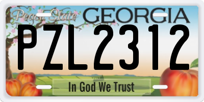GA license plate PZL2312