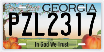 GA license plate PZL2317