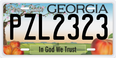 GA license plate PZL2323