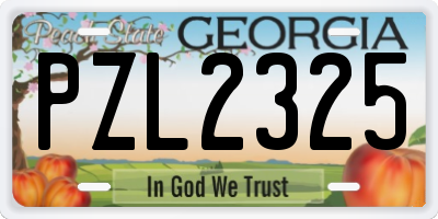 GA license plate PZL2325