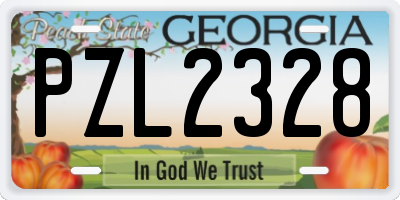 GA license plate PZL2328