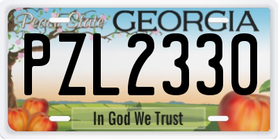 GA license plate PZL2330