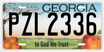 GA license plate PZL2336