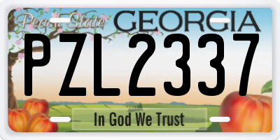 GA license plate PZL2337