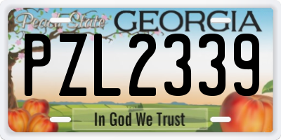 GA license plate PZL2339