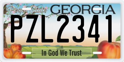 GA license plate PZL2341