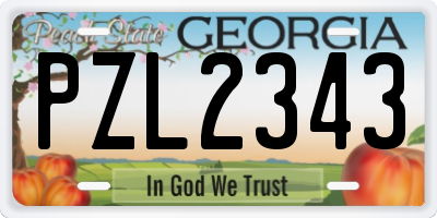 GA license plate PZL2343