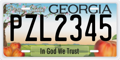 GA license plate PZL2345