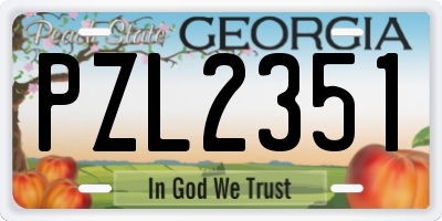 GA license plate PZL2351