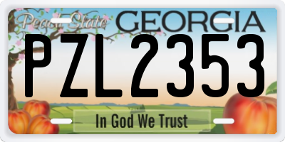 GA license plate PZL2353