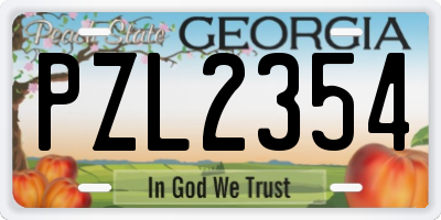 GA license plate PZL2354