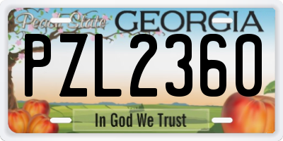 GA license plate PZL2360