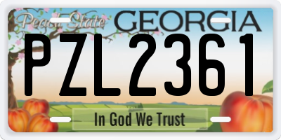 GA license plate PZL2361