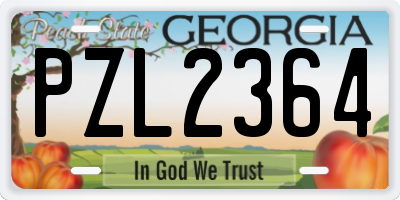 GA license plate PZL2364