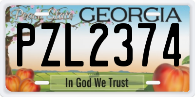 GA license plate PZL2374
