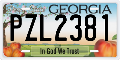 GA license plate PZL2381