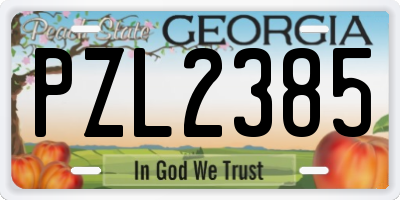 GA license plate PZL2385