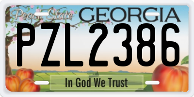 GA license plate PZL2386
